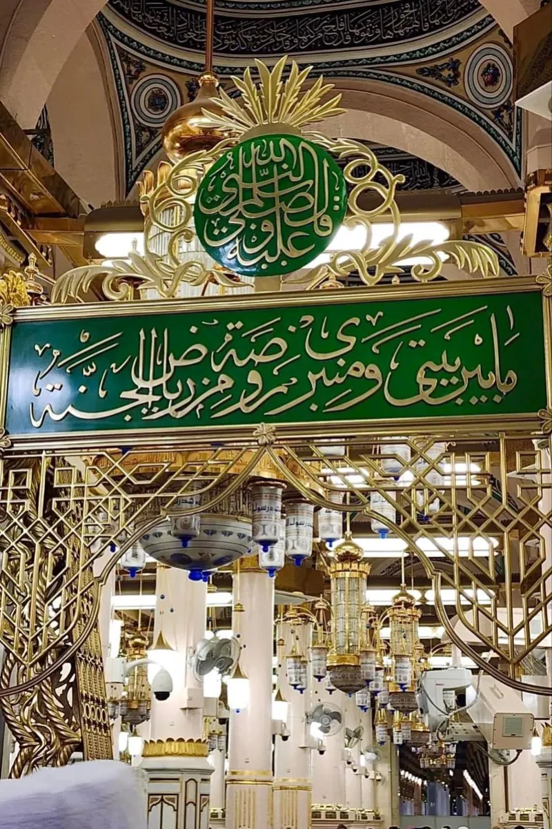 الرسول المجاهد في ذكرى مولده