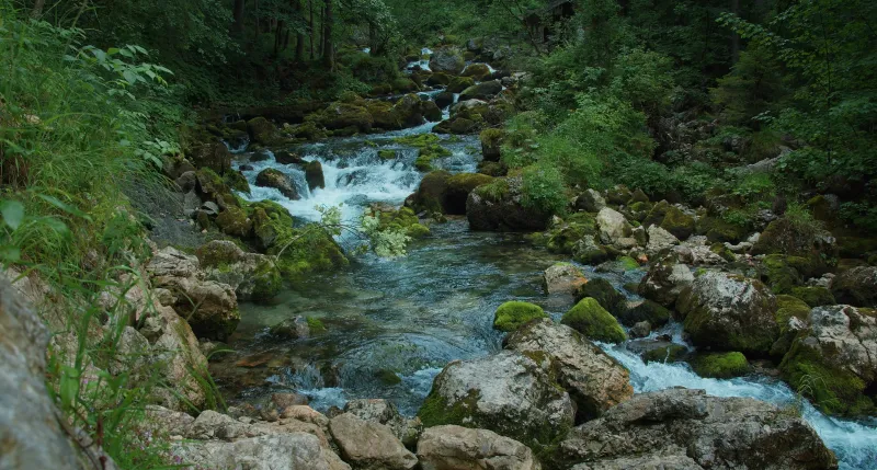 من جدول ضائع إلى نهر لا ينضب