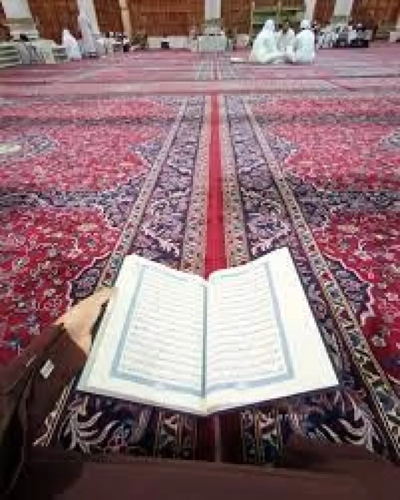 قواعد تربوية ودعوية في ظلال القرآن