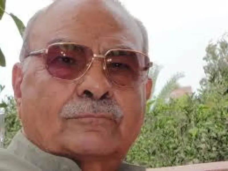 شهادات من ذهب في وداع د. محمد عمارة